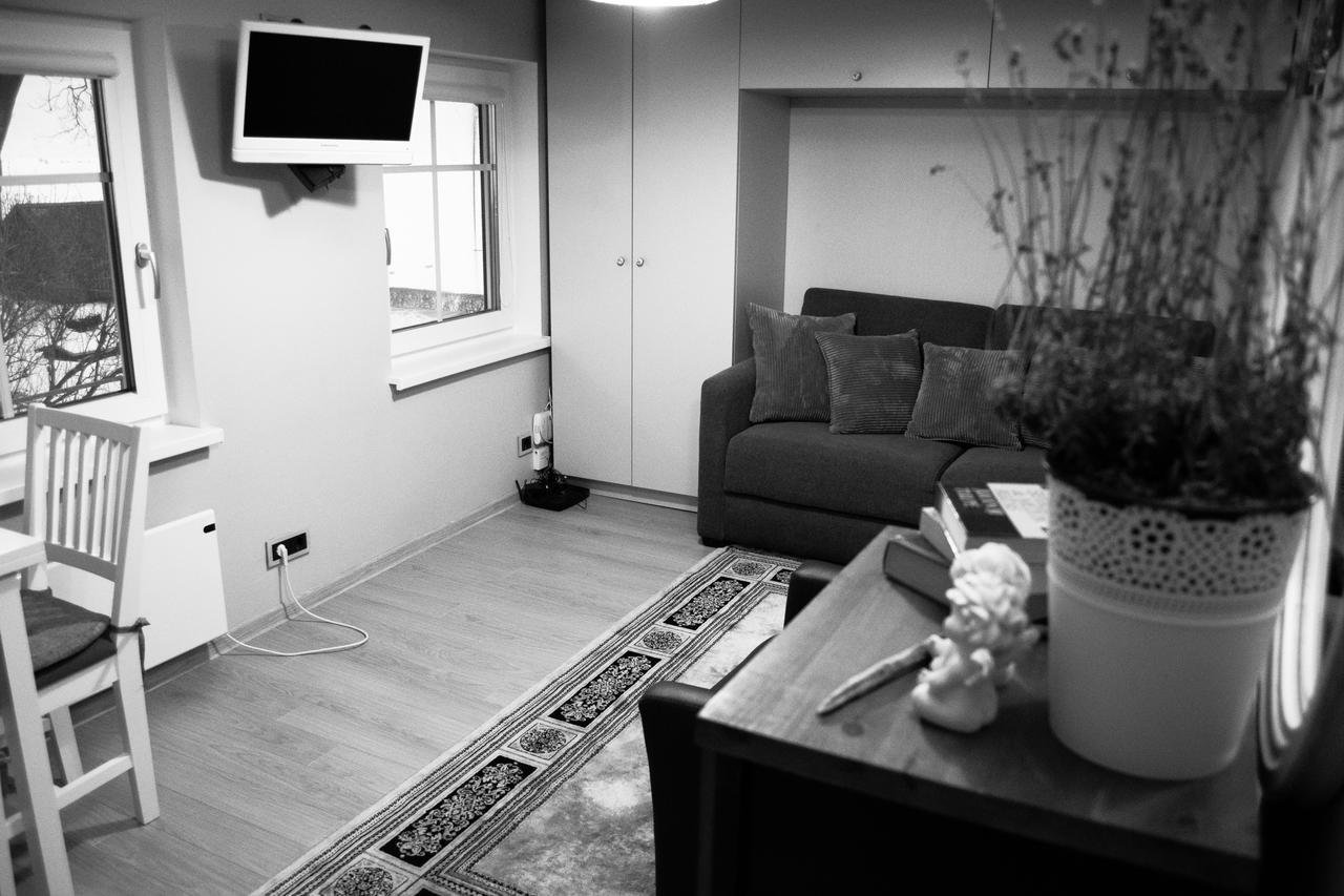 Skruzdynes Apartamentai Nida Εξωτερικό φωτογραφία